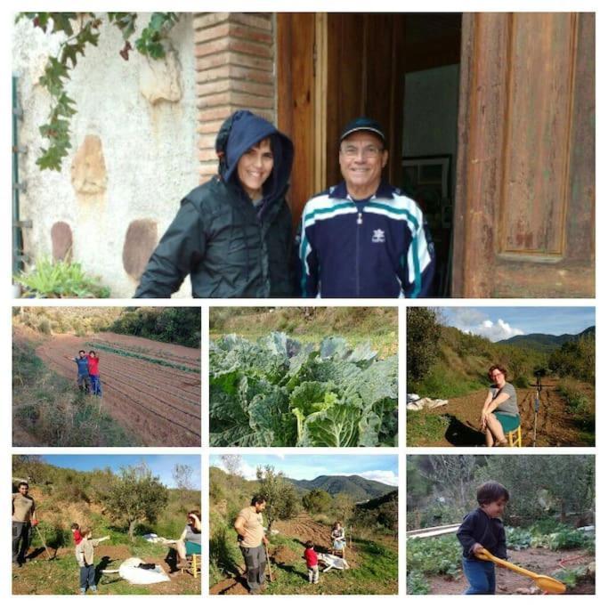 Cottage Eco-Friendly Barcelona Country Side ラ・ガリガ エクステリア 写真