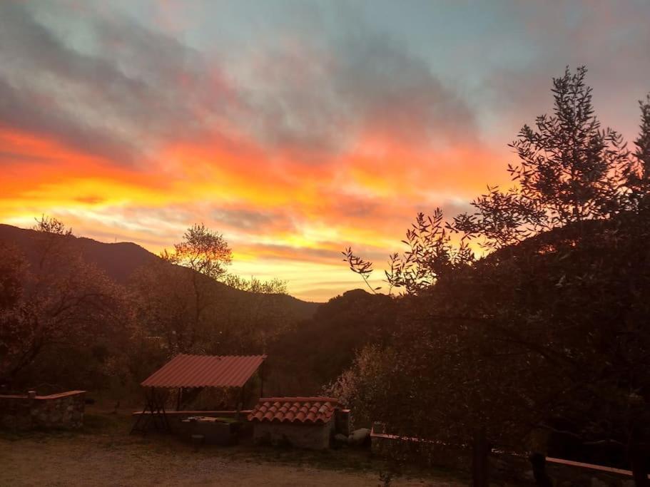 Cottage Eco-Friendly Barcelona Country Side ラ・ガリガ エクステリア 写真