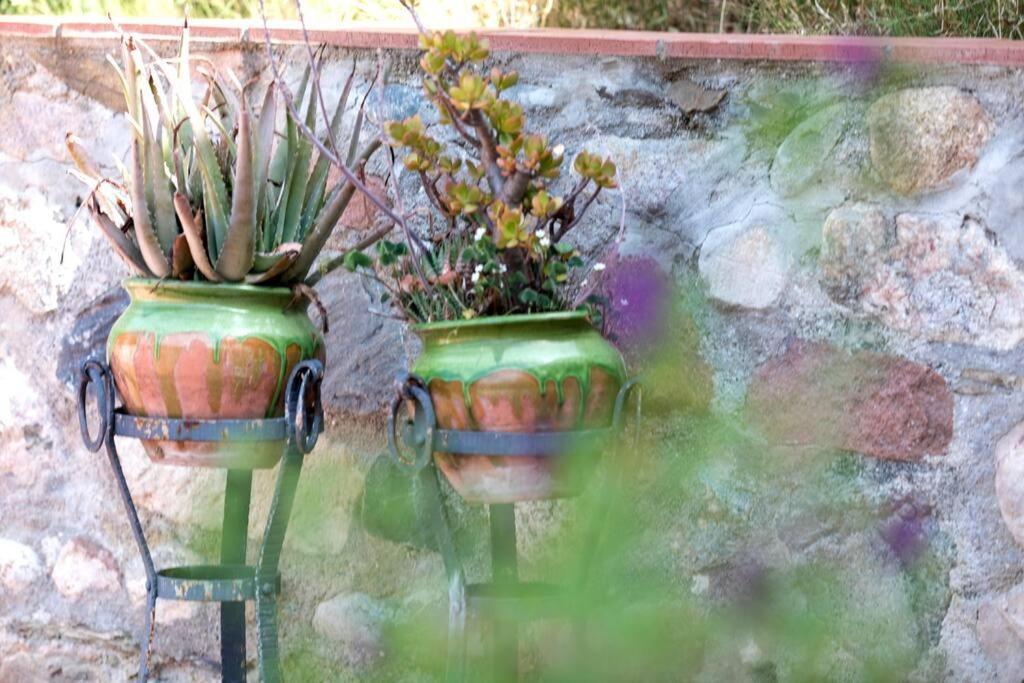 Cottage Eco-Friendly Barcelona Country Side ラ・ガリガ エクステリア 写真