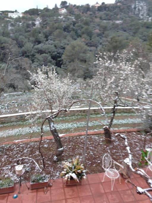 Cottage Eco-Friendly Barcelona Country Side ラ・ガリガ エクステリア 写真