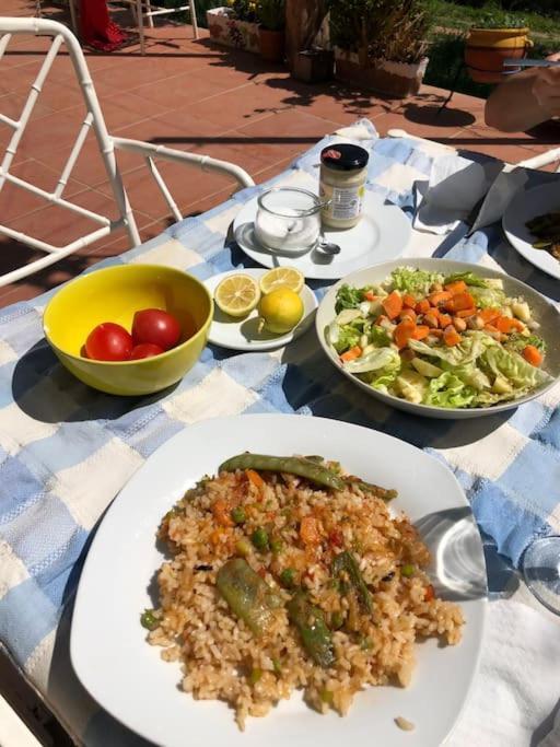 Cottage Eco-Friendly Barcelona Country Side ラ・ガリガ エクステリア 写真